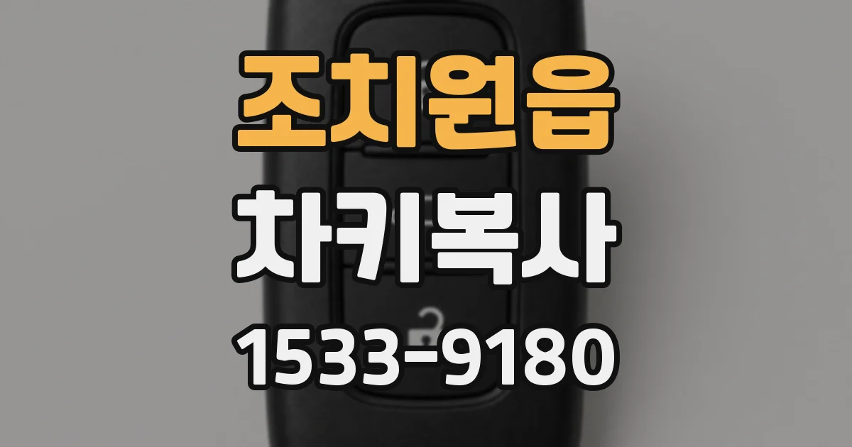 조치원읍 차키복사