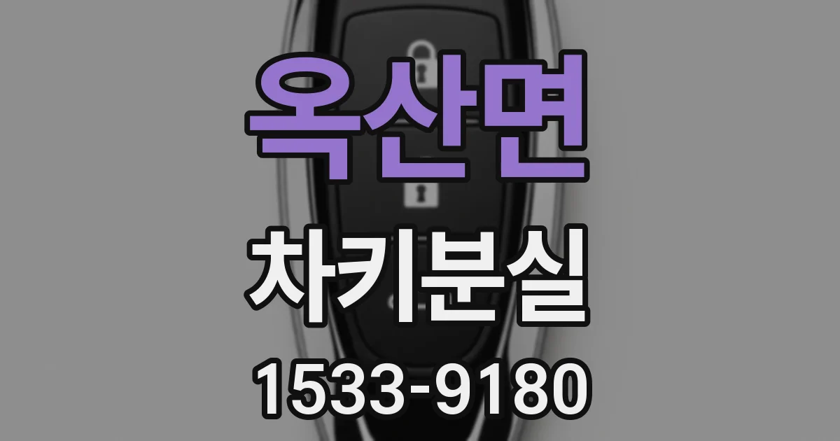옥산면 차키분실