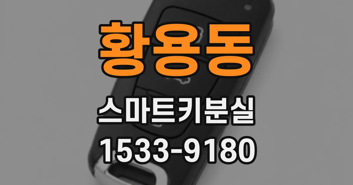 황용동 스마트키분실