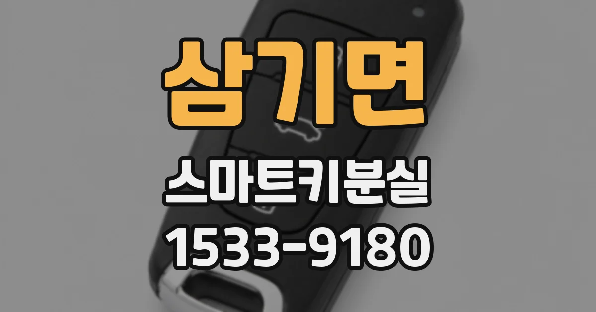 삼기면 스마트키분실