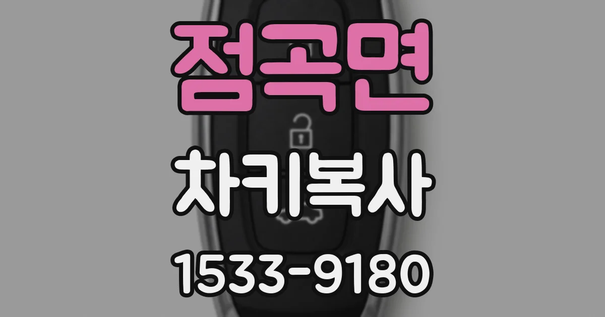 점곡면 차키복사