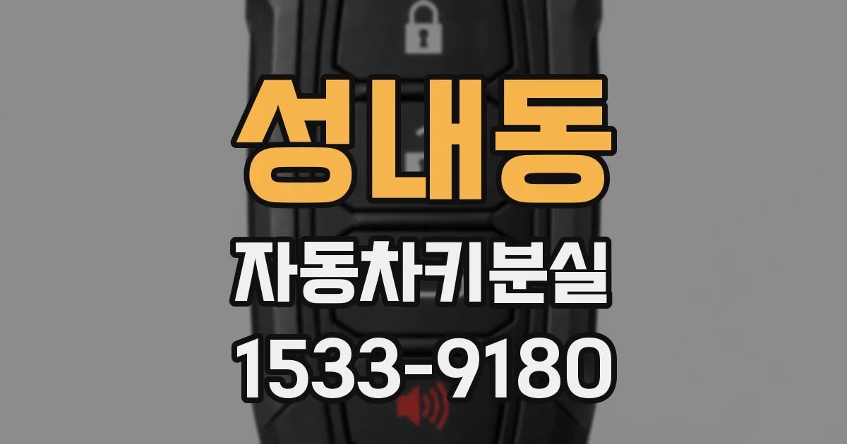 성내동 자동차키분실