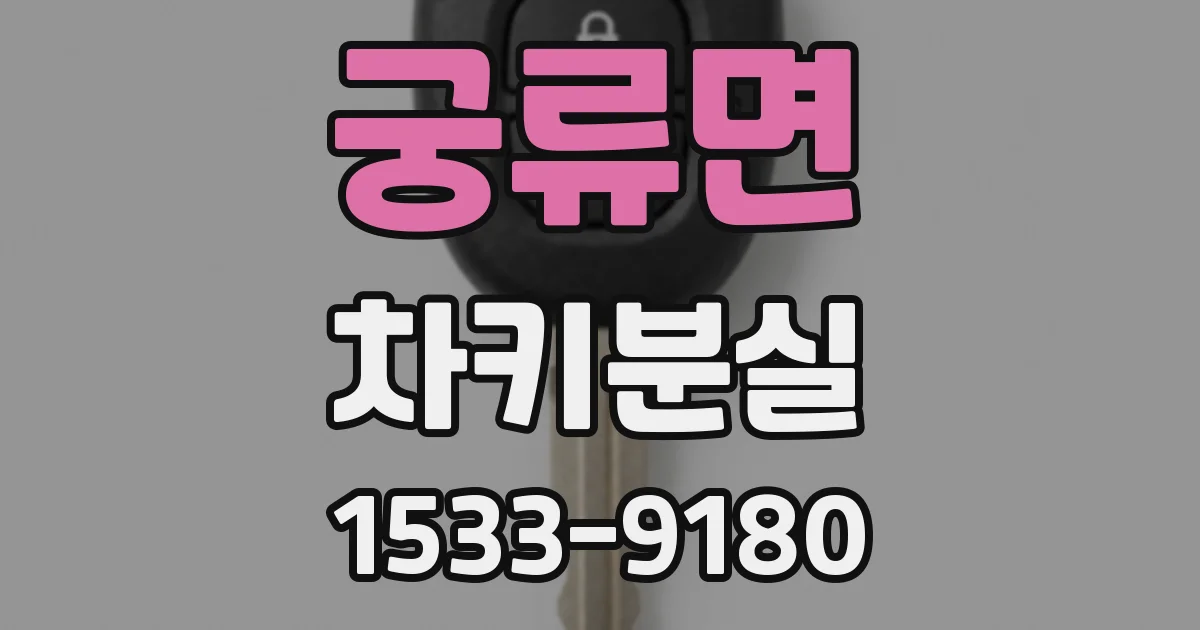 궁류면 차키분실
