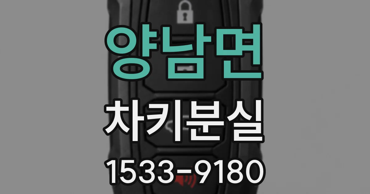 양남면 차키분실