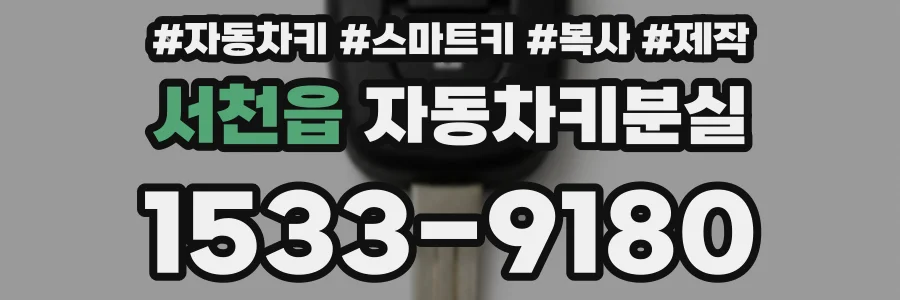 서천읍 자동차키분실
