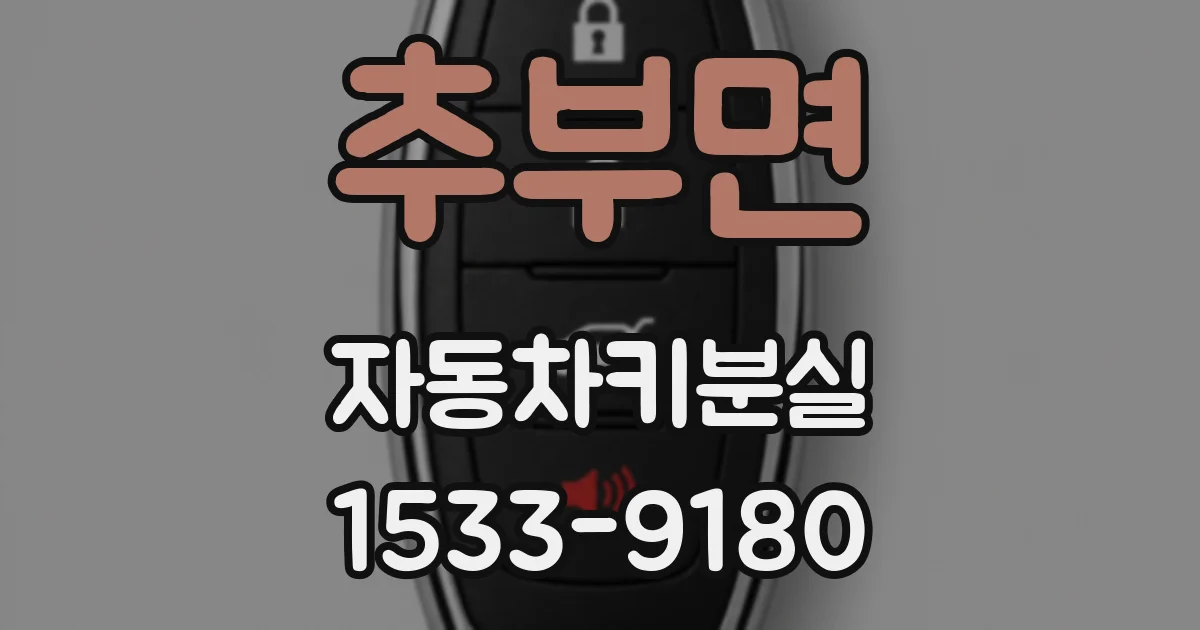 추부면 자동차키분실