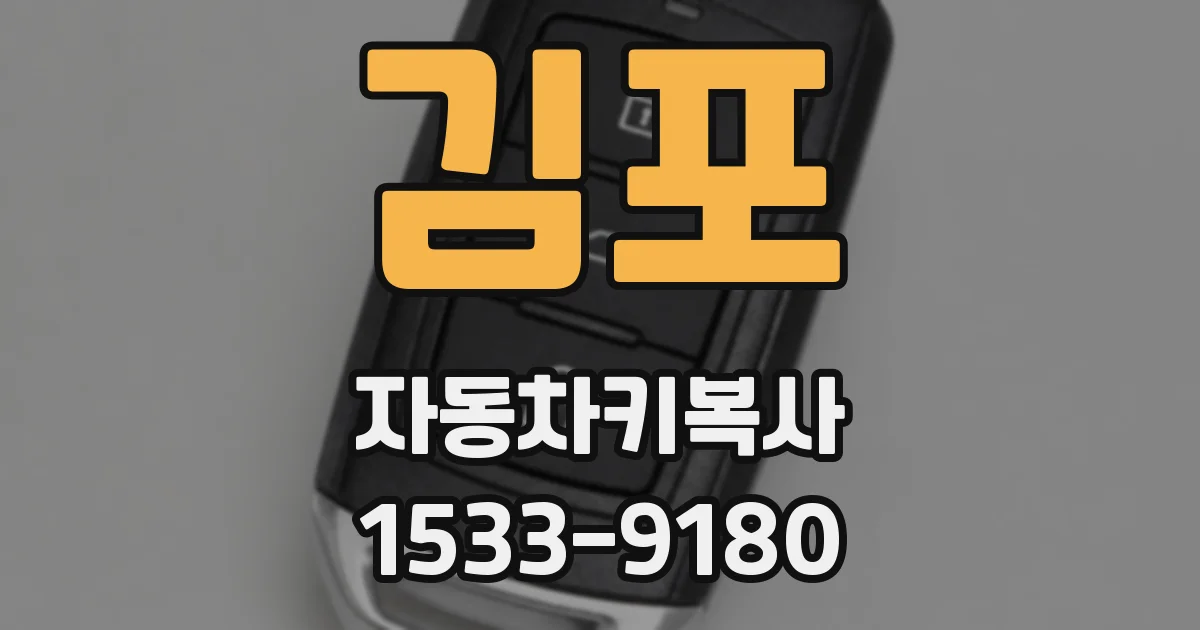 김포 자동차키복사