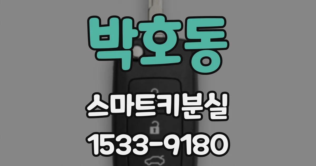 박호동 스마트키분실