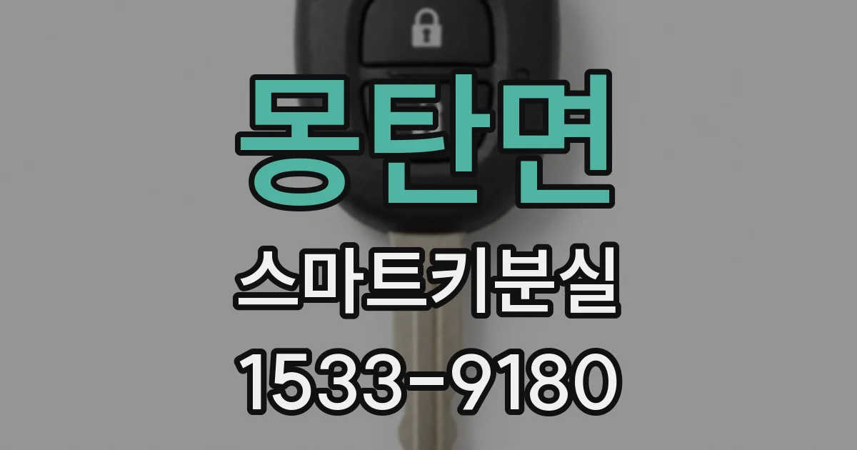 몽탄면 스마트키분실