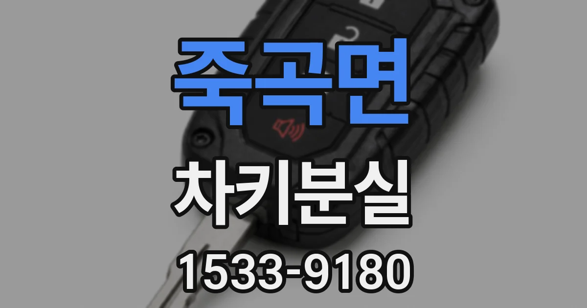 죽곡면 차키분실