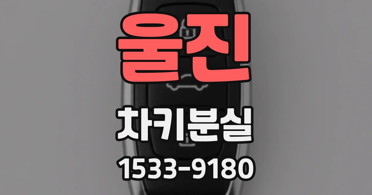 울진 차키분실