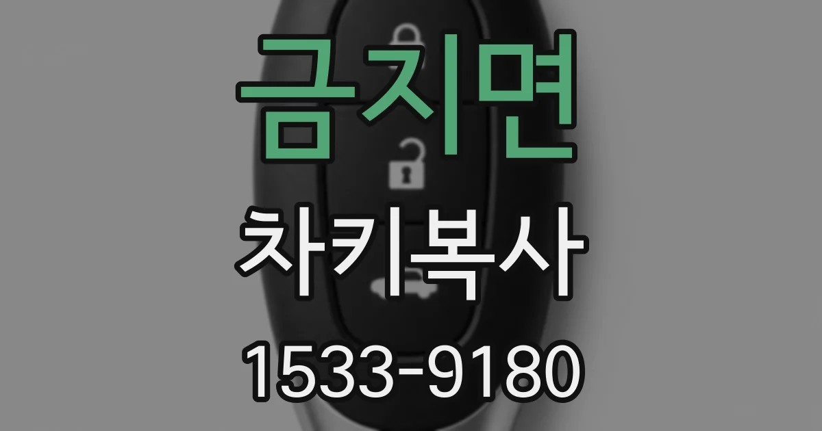금지면 차키복사