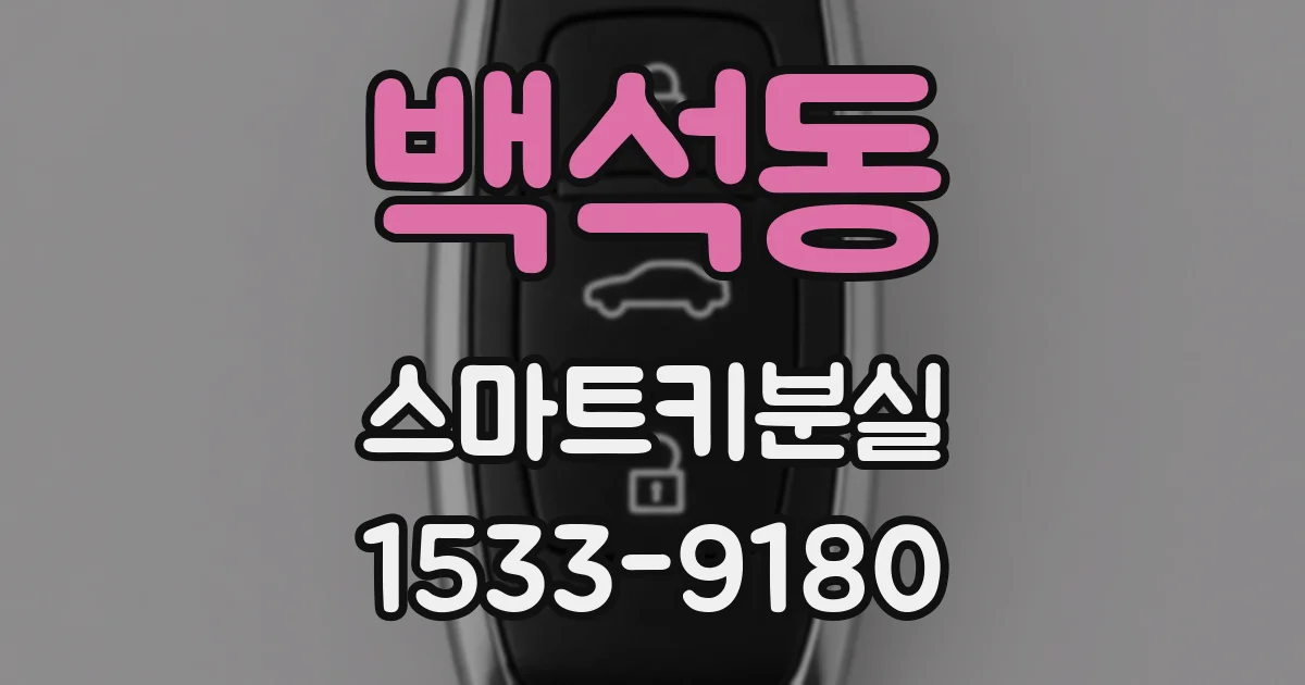 백석동 스마트키분실