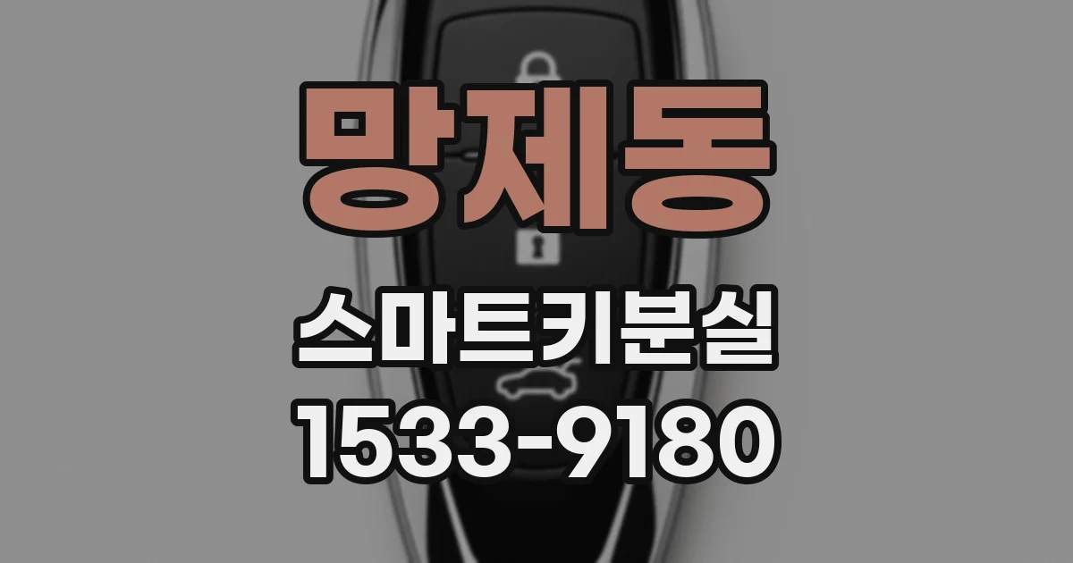망제동 스마트키분실
