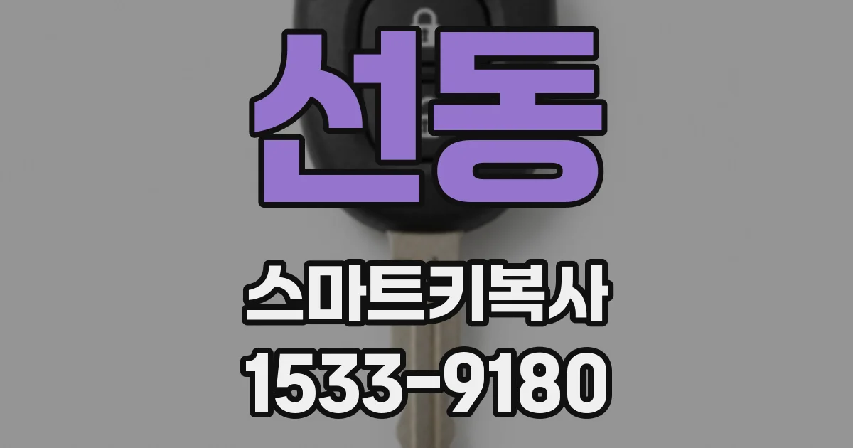 선동 스마트키복사