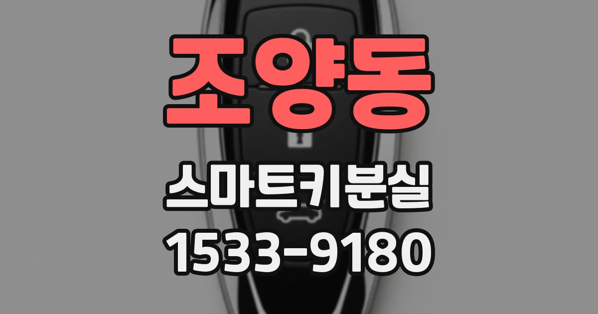 조양동 스마트키분실