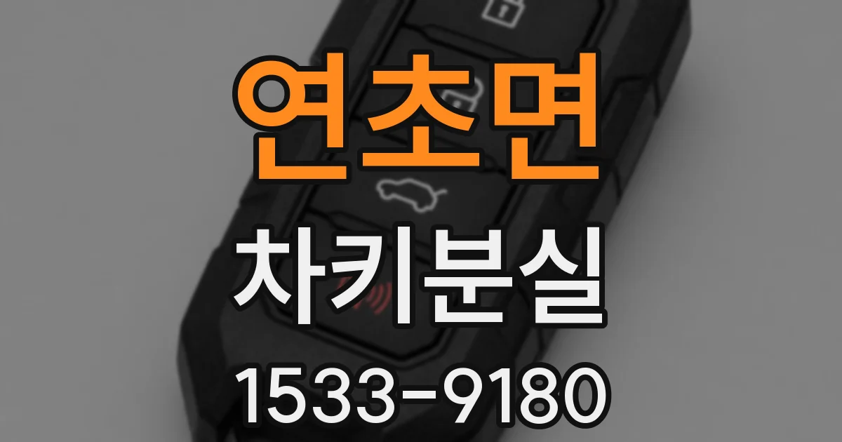 연초면 차키분실