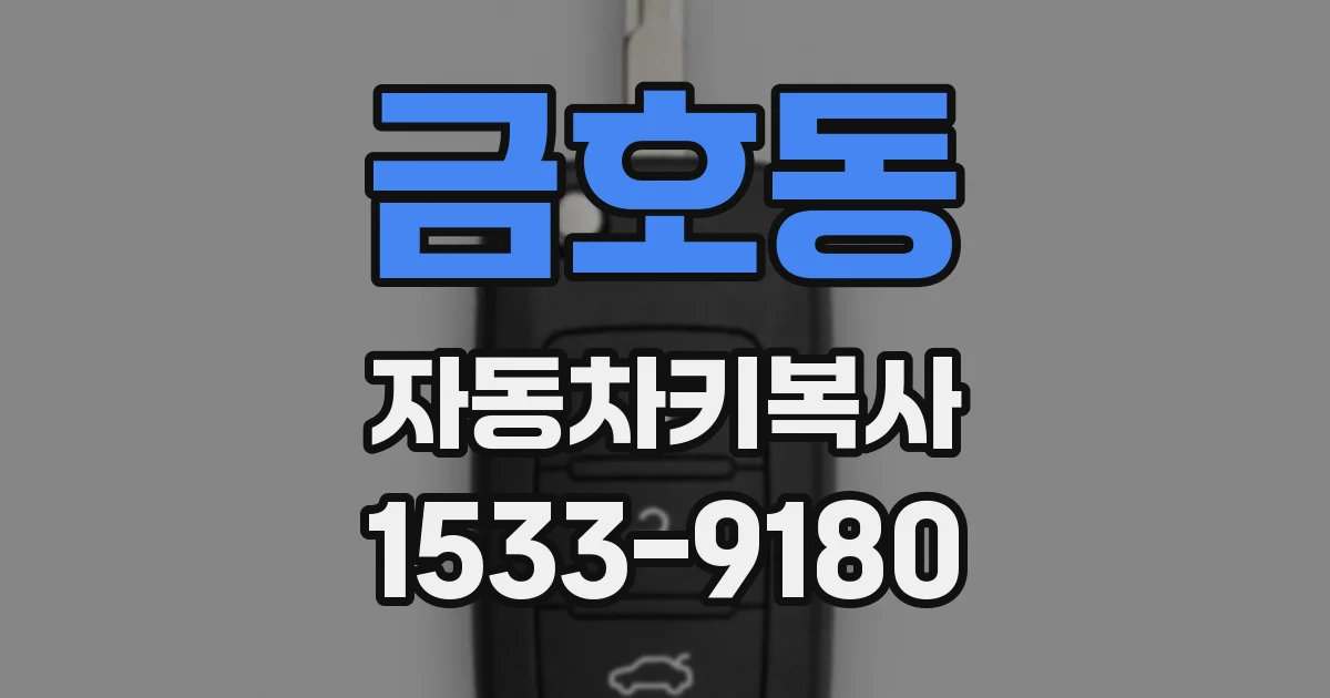 금호동 자동차키복사