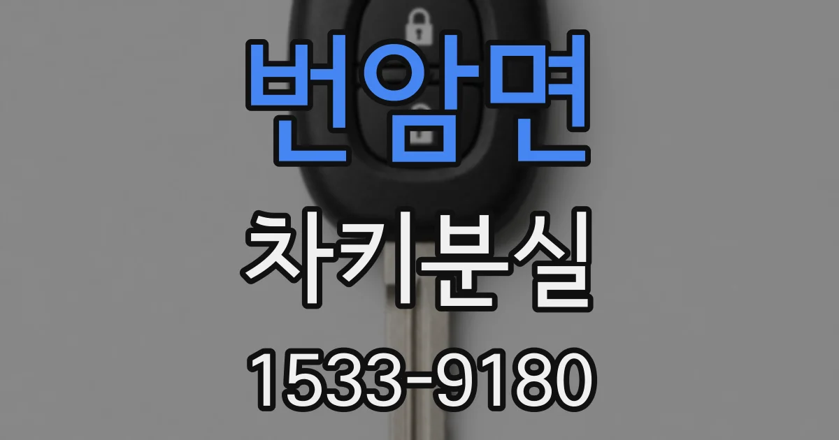 번암면 차키분실