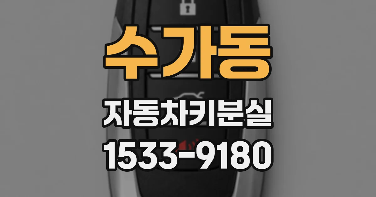 수가동 자동차키분실