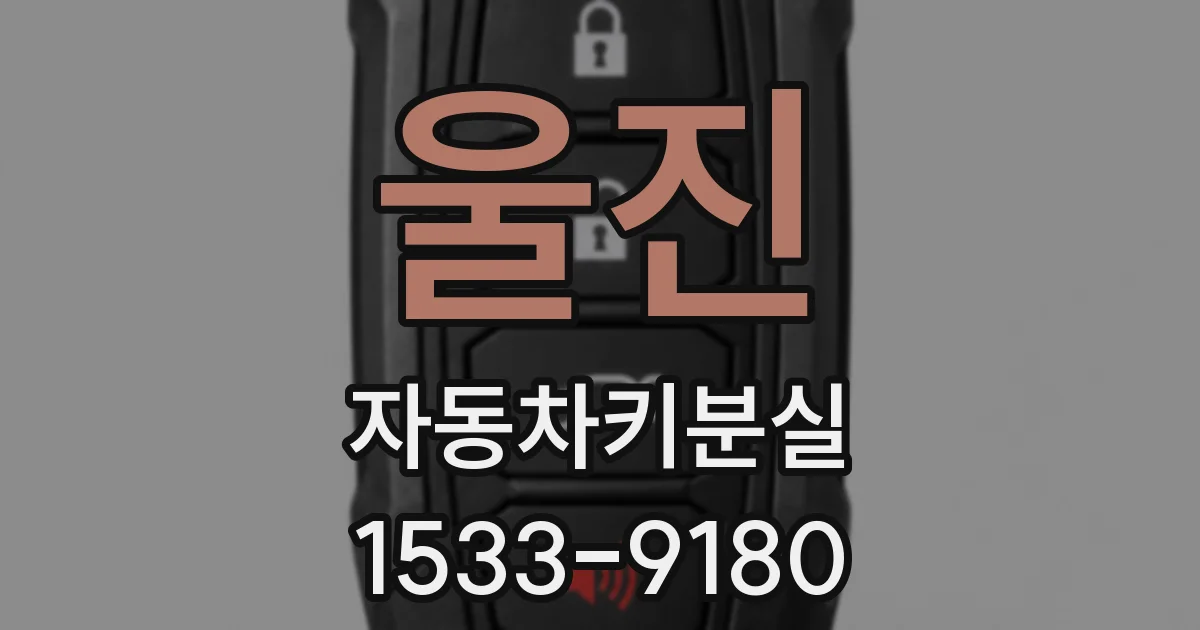 울진 자동차키분실
