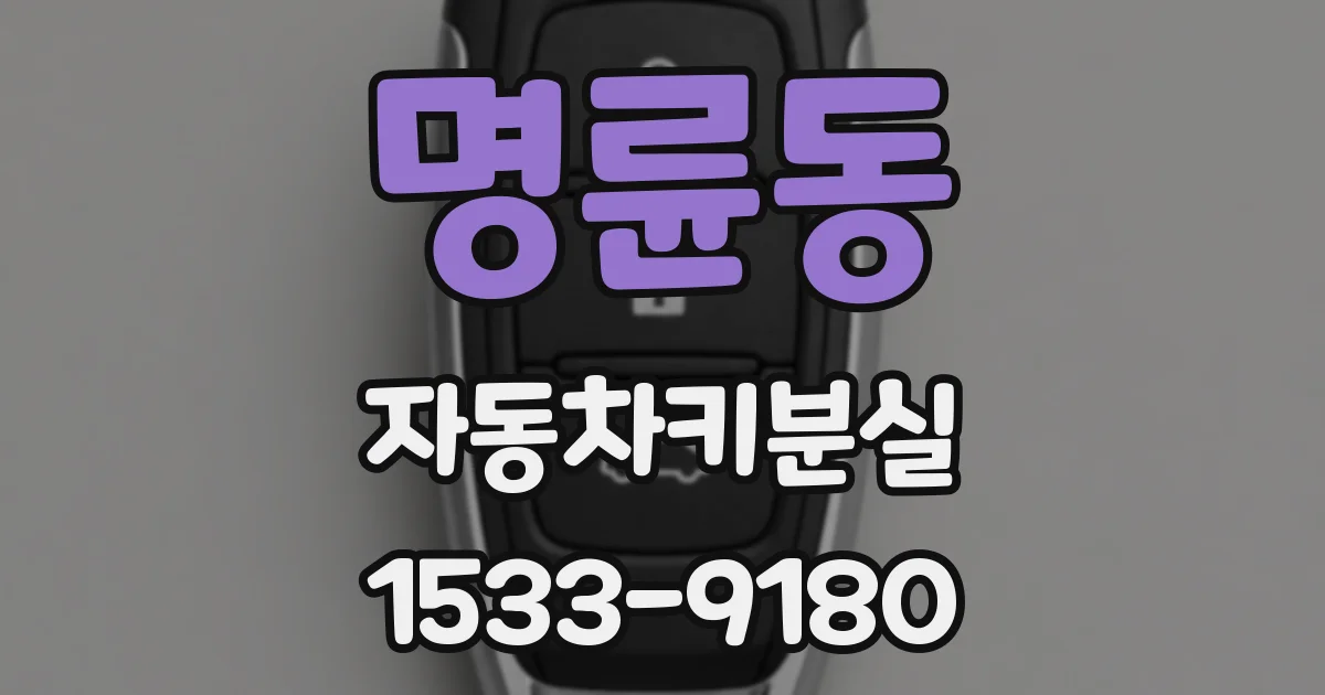 명륜동 자동차키분실