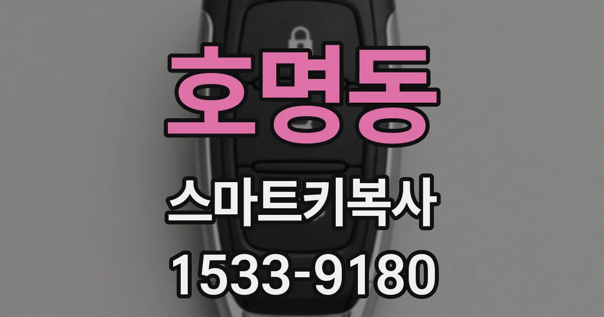 호명동 스마트키복사