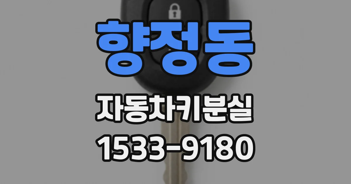 향정동 자동차키분실