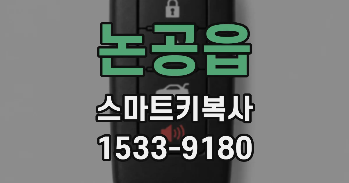 논공읍 스마트키복사