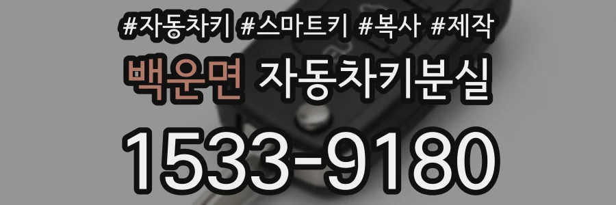 백운면 자동차키분실