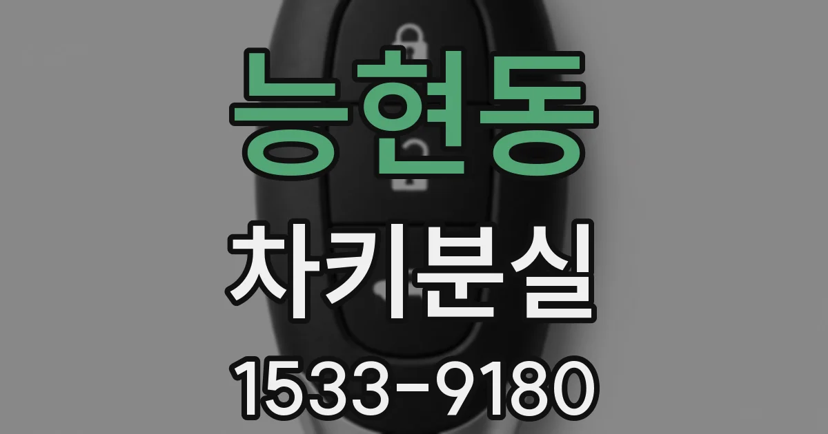 능현동 차키분실