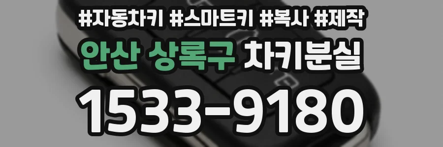 안산 상록구 차키분실