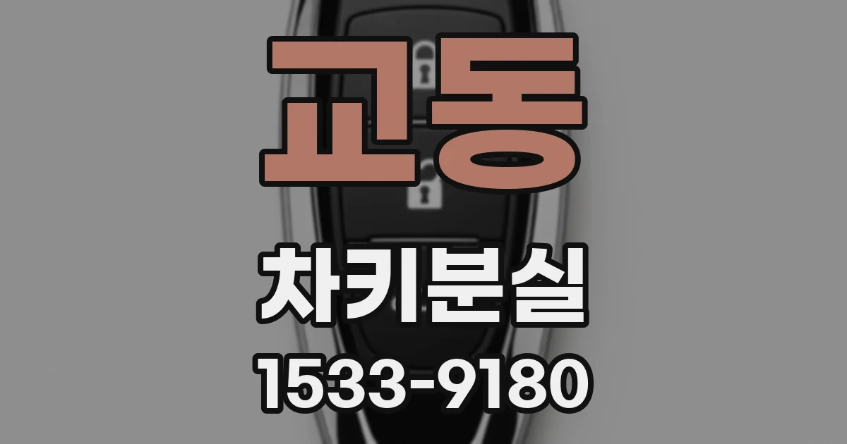 교동 차키분실