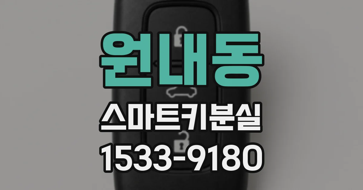 원내동 스마트키분실