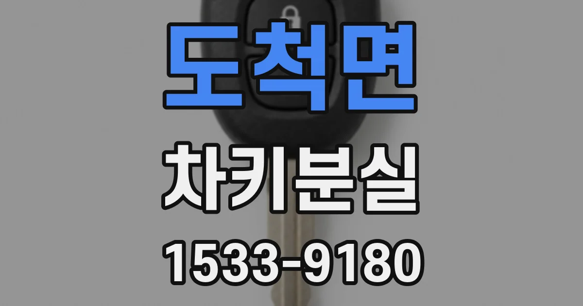 도척면 차키분실
