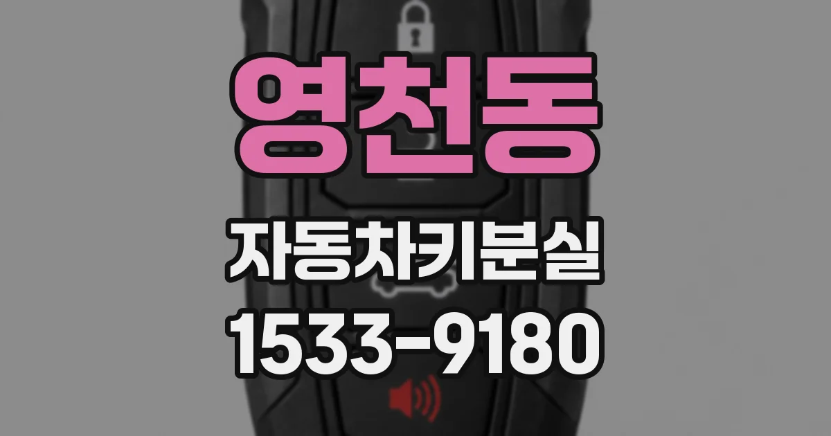 영천동 자동차키분실