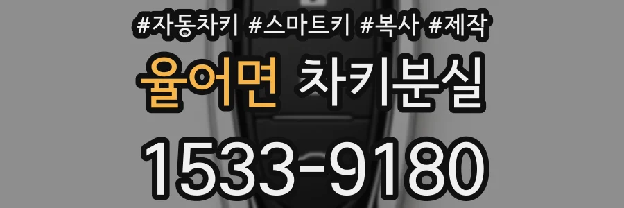 율어면 차키분실