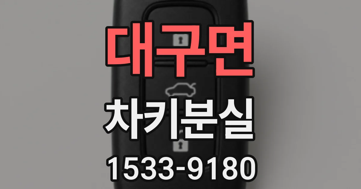 대구면 차키분실