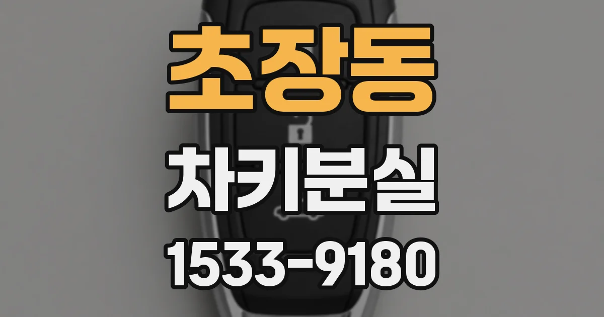 초장동 차키분실