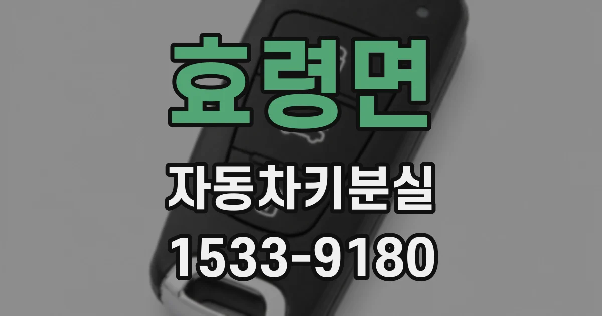 효령면 자동차키분실