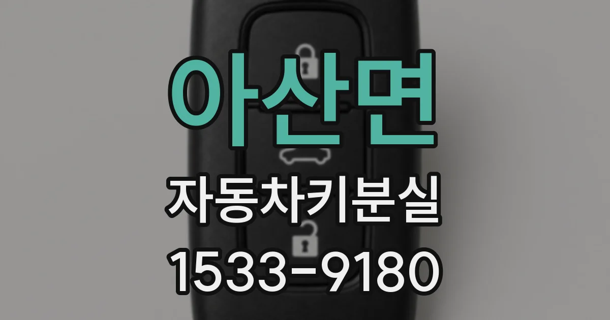 아산면 자동차키분실