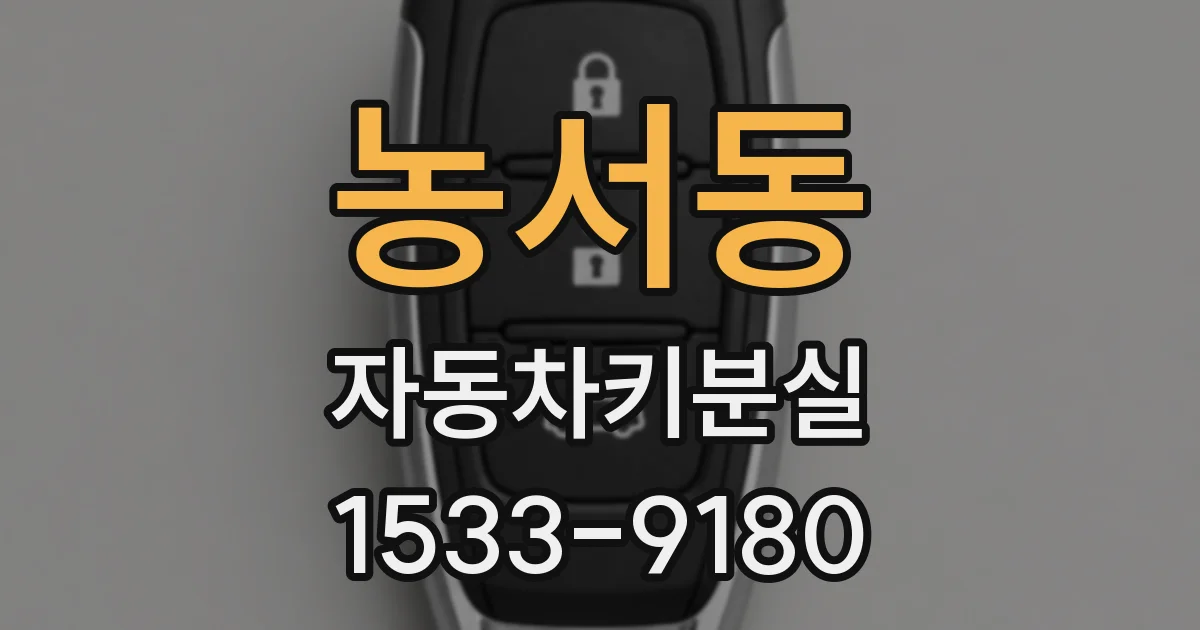 농서동 자동차키분실