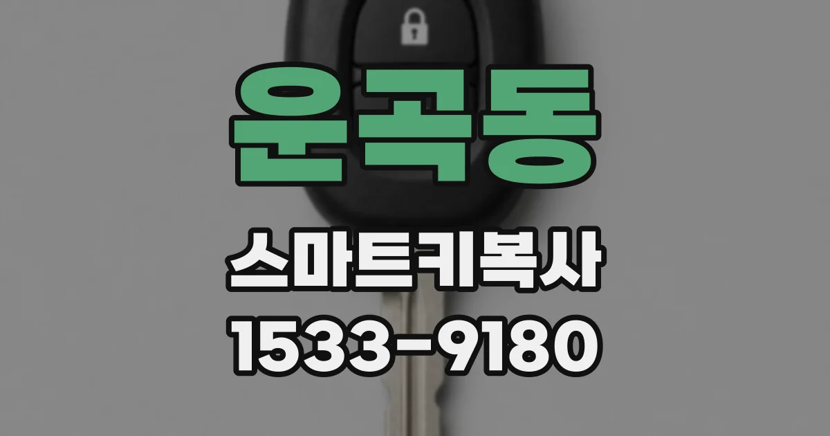 운곡동 스마트키복사