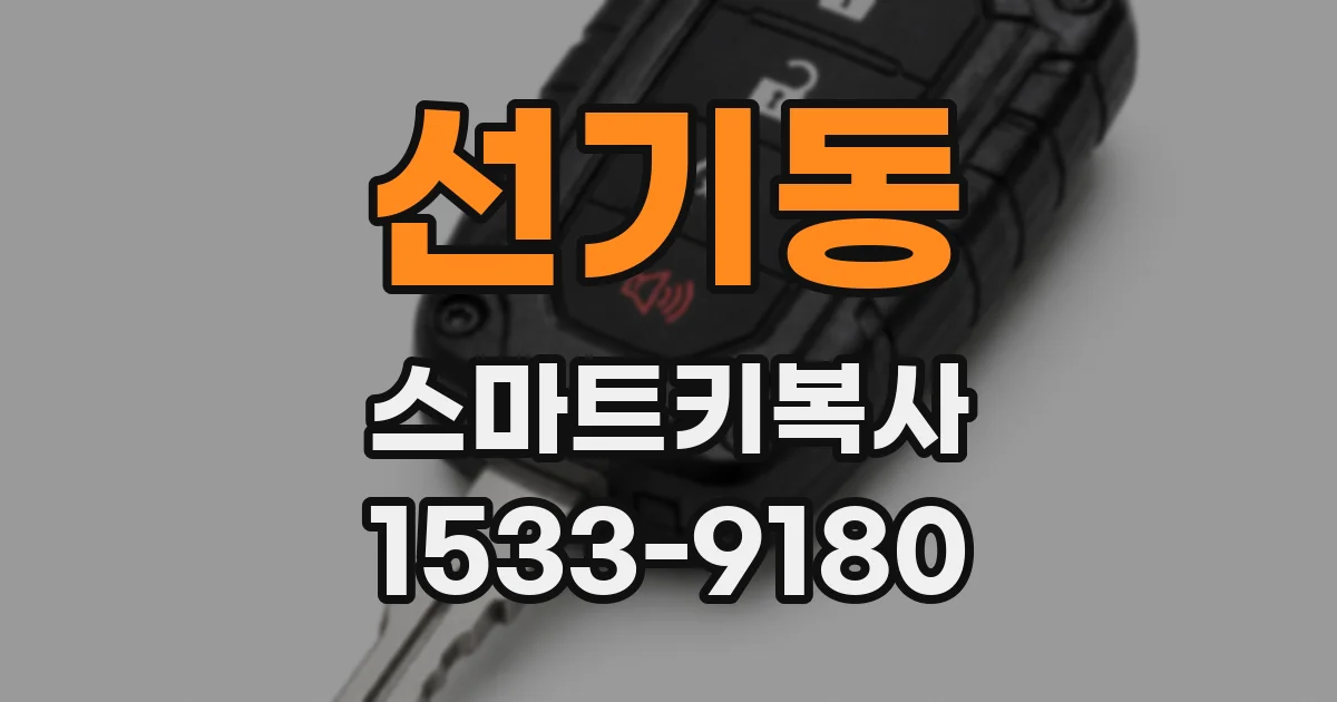 선기동 스마트키복사