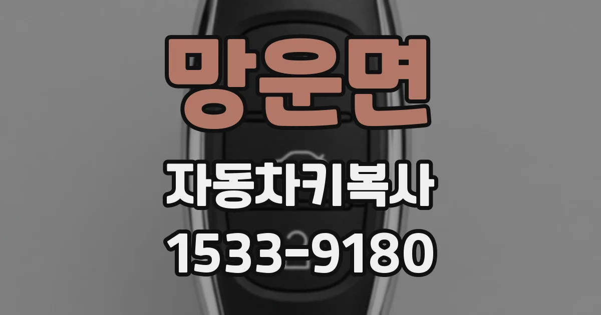 망운면 자동차키복사