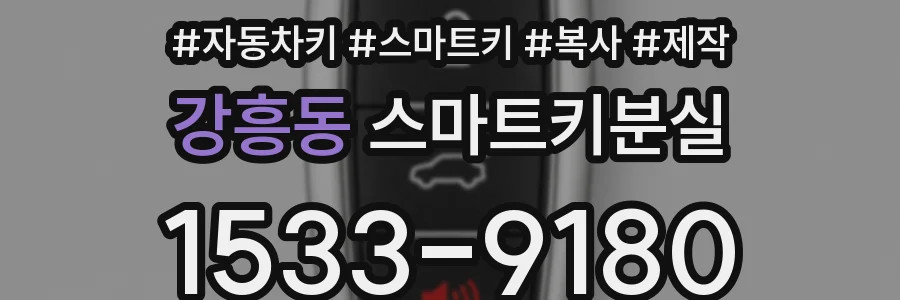 강흥동 스마트키분실