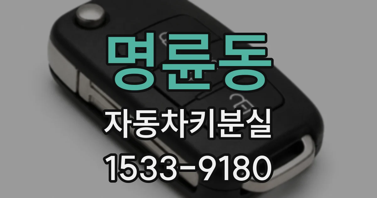 명륜동 자동차키분실