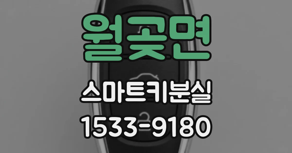 월곶면 스마트키분실