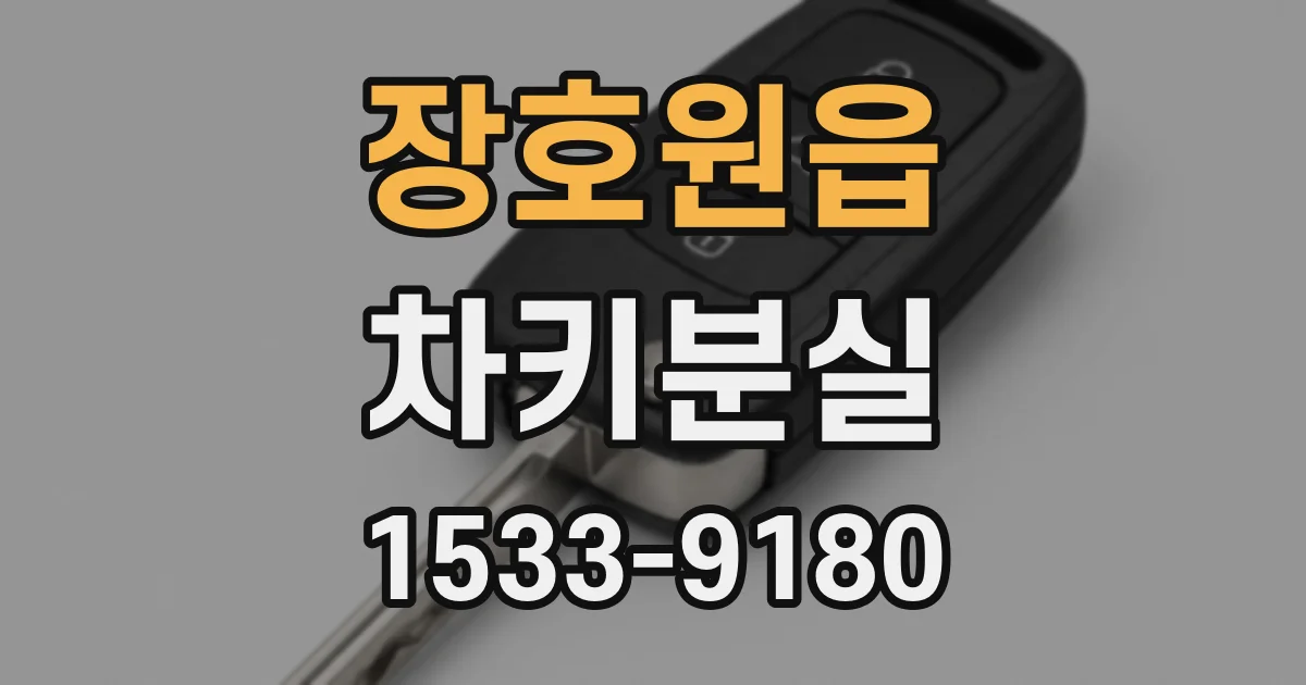 장호원읍 차키분실