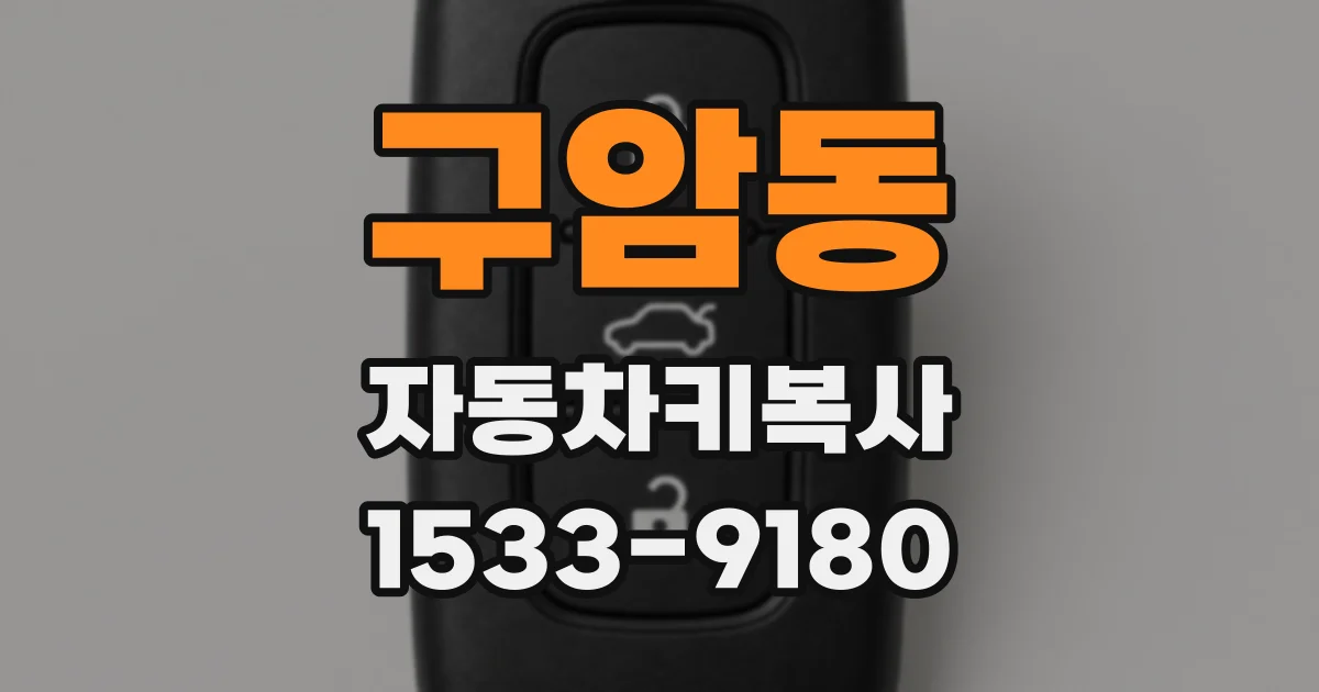 구암동 자동차키복사